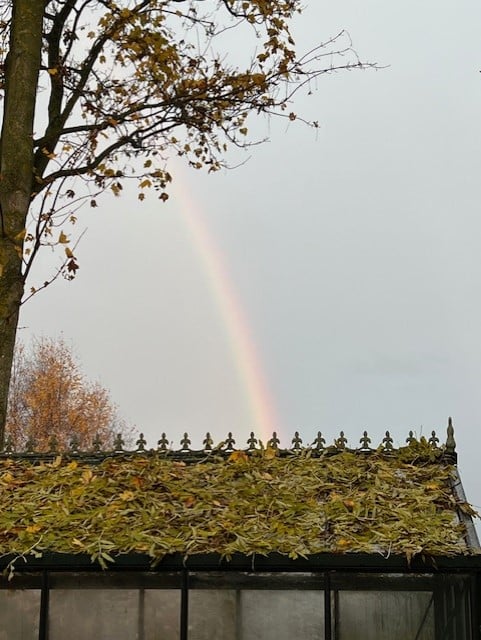 thumbnail_IMG_3678